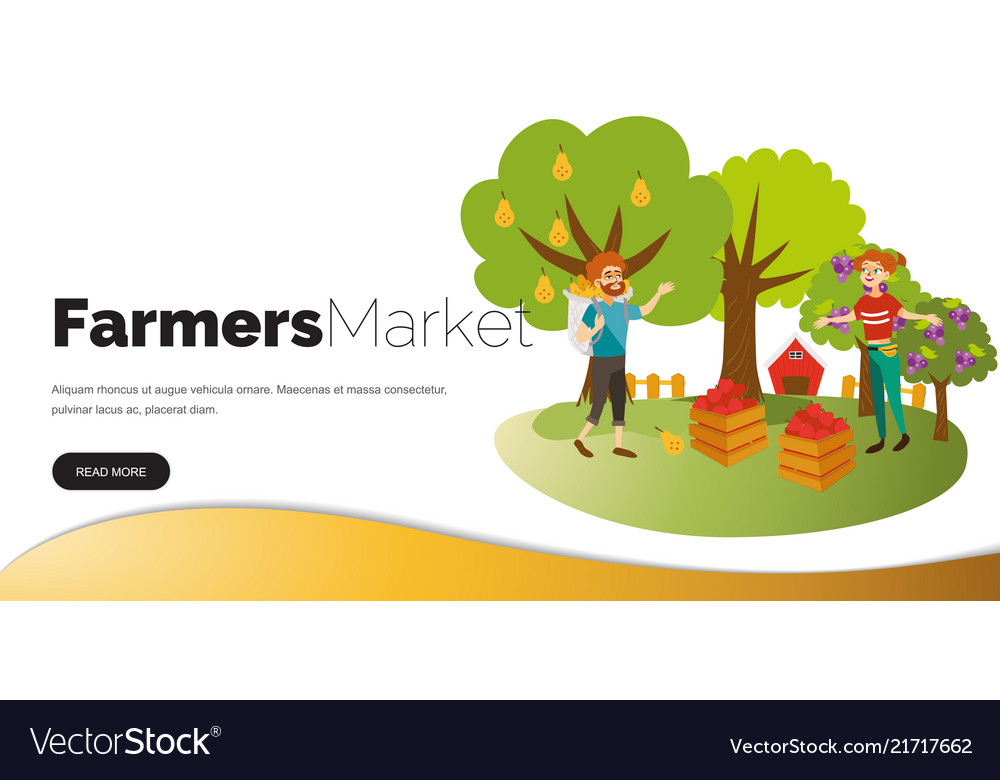 Harvesting picking fruits horizontal banner Vector Image