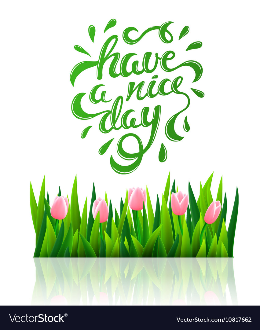 Have a nice day Royalty Free Vector Image - VectorStock