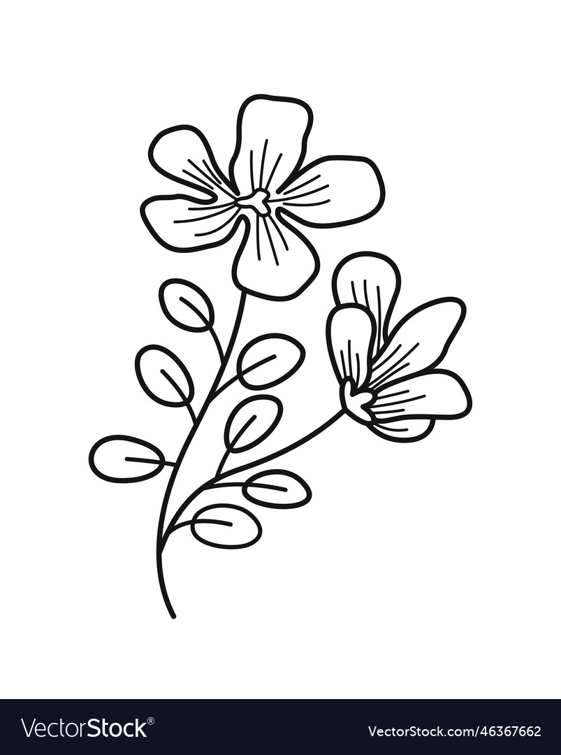 Minimalistic floral branch vector image Minimalistic floral branch