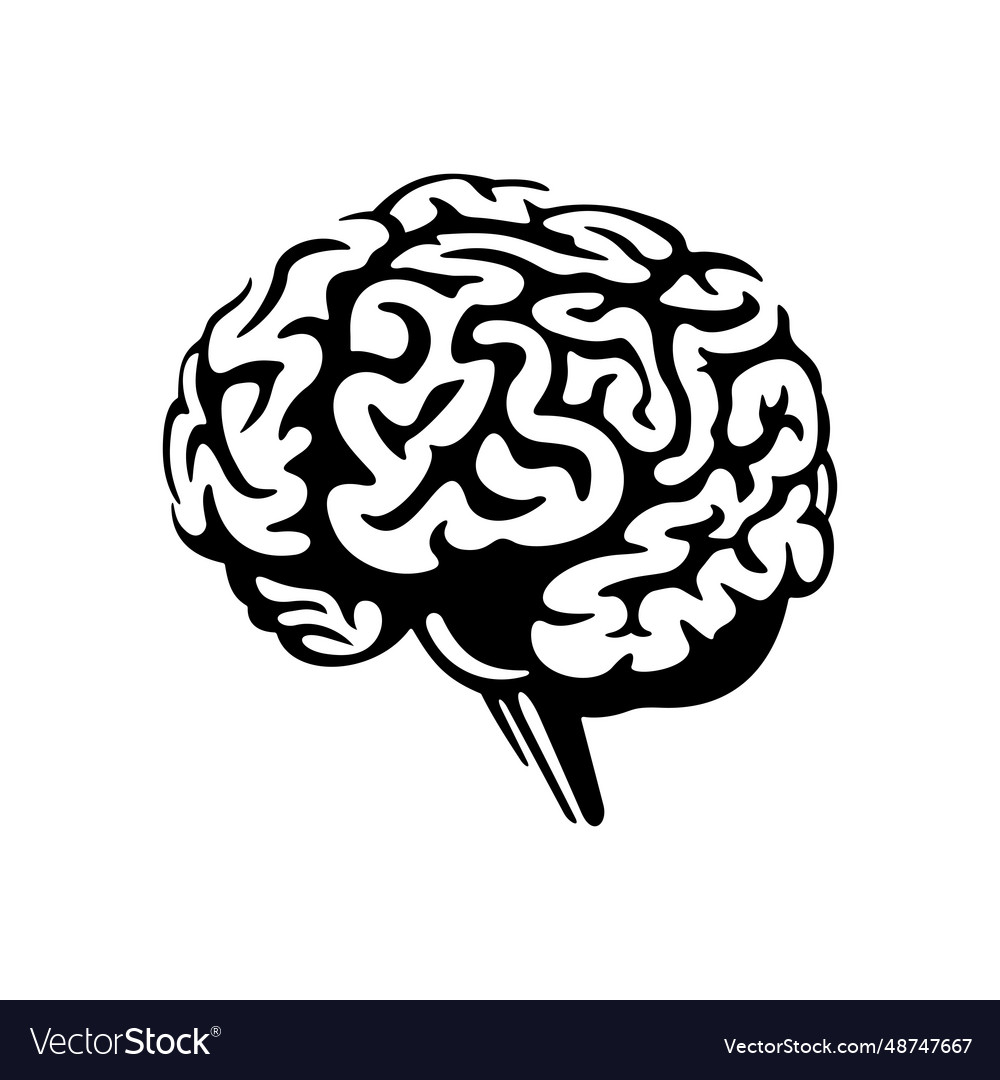 Brain Royalty Free Vector Image - VectorStock