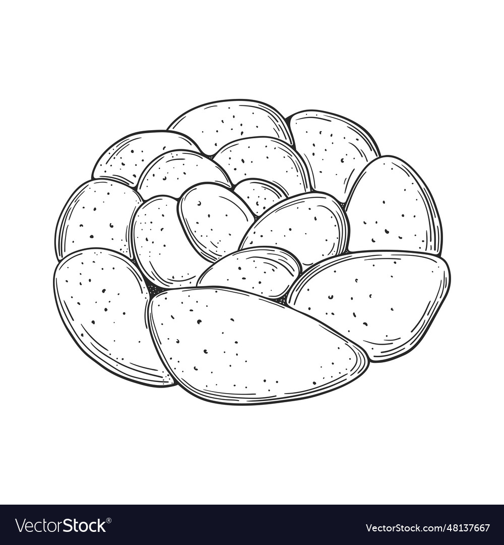 Challah bread outline hand drawn Royalty Free Vector Image