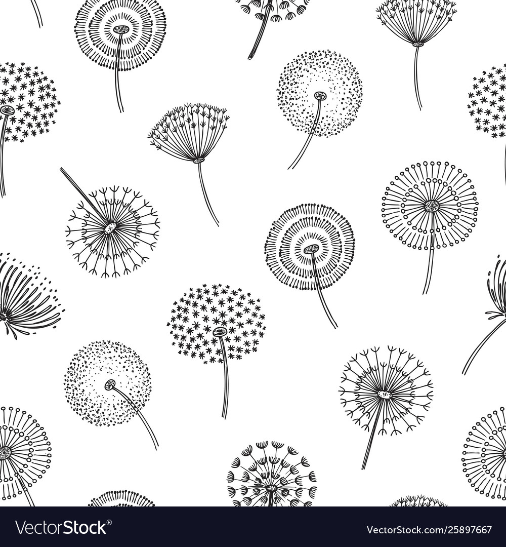 Dandelion seamless pattern dandelions grass Vector Image