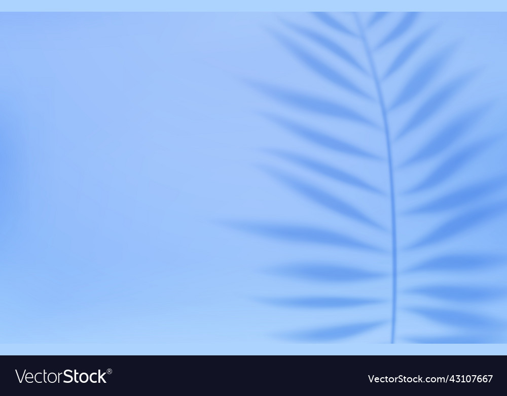 Empty studio abstract background