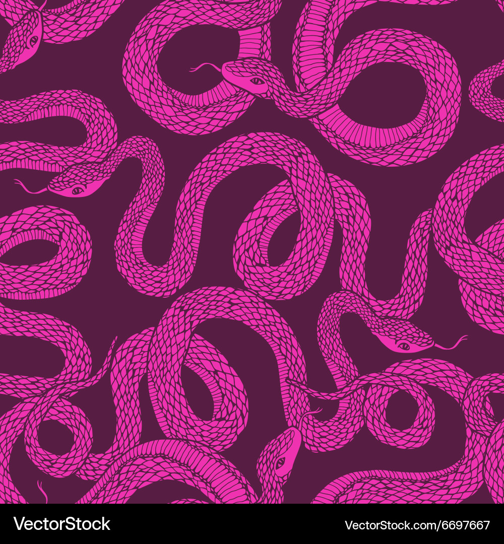 Pattern with snakes Royalty Free Vector Image - VectorStock
