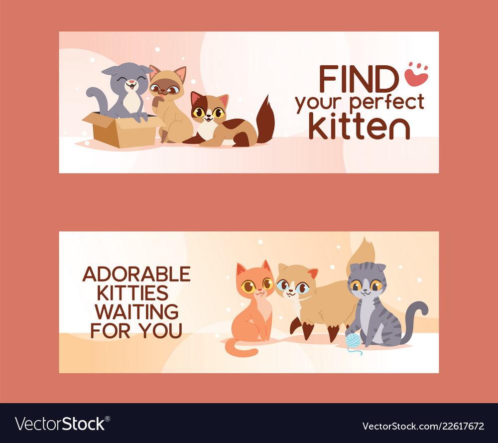 Cute Kitten Adoption Poster