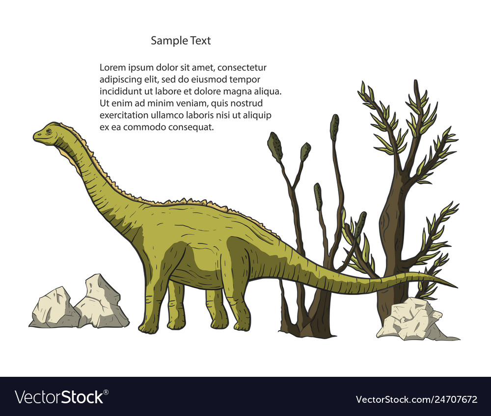 Diplodocus Dinosaur