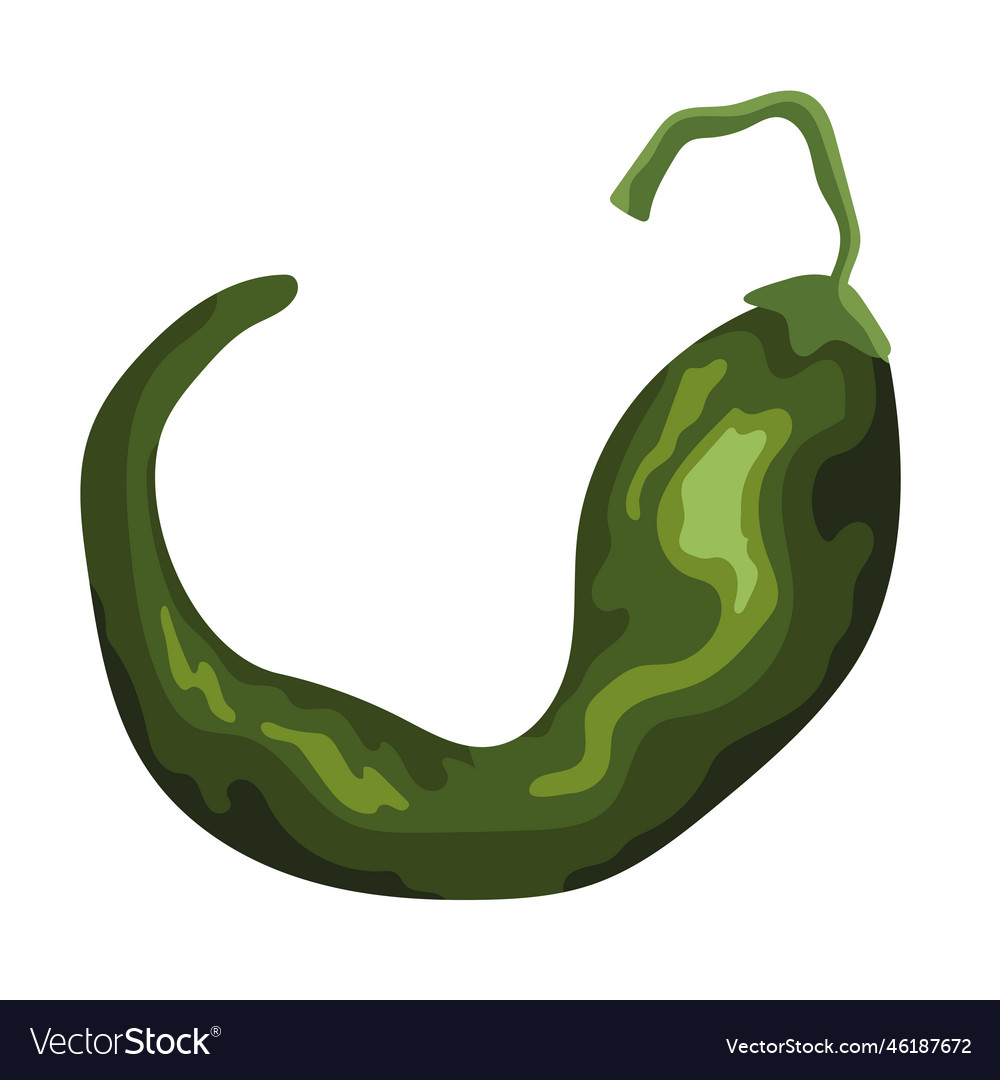 Green jalapeno chilli pepper