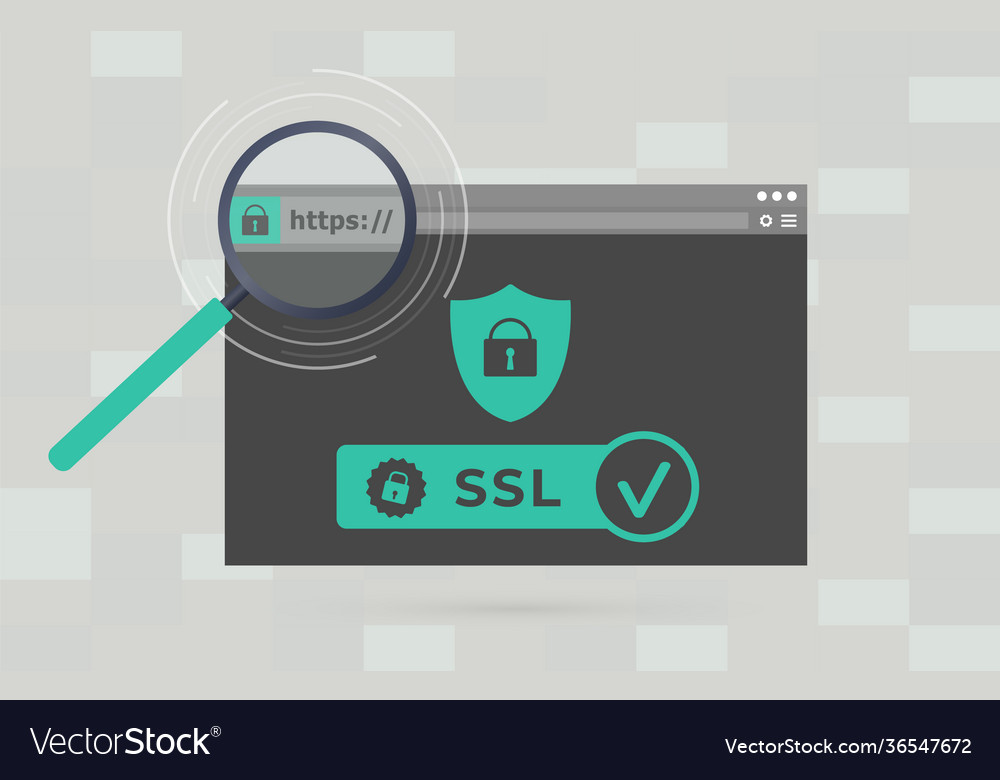 Secure Website with SSL Certificate