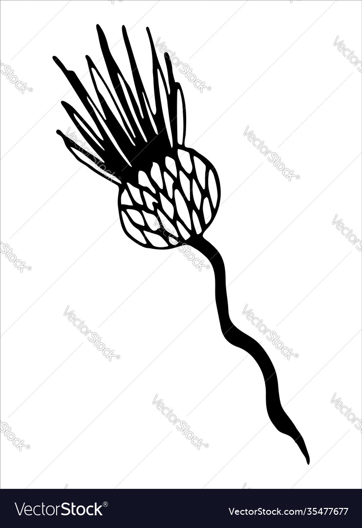 Isolated element with flower vector image Isolated element with flower