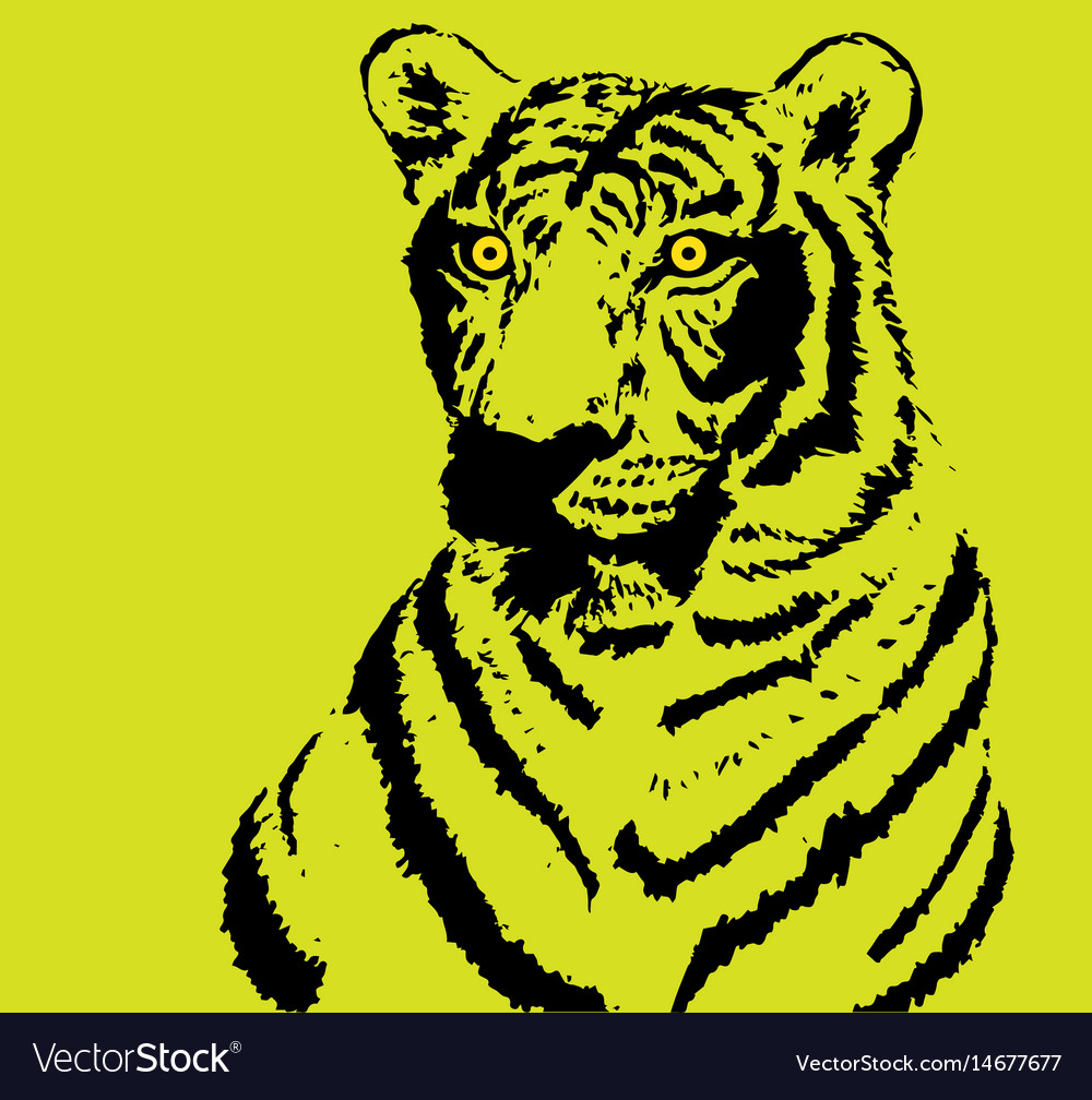 28,561 Yellow Tiger Stock Photos - Free & Royalty-Free Stock Photos from  Dreamstime