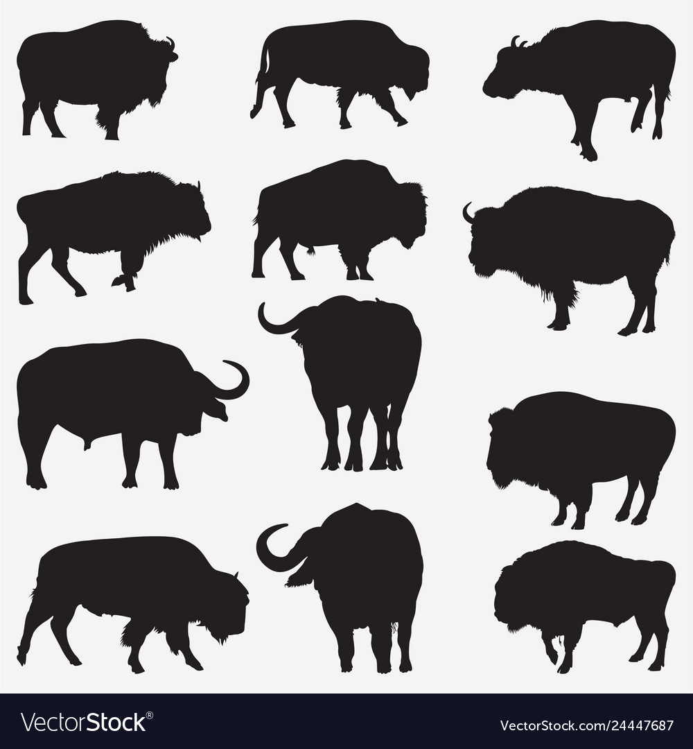 Buffalo Silhouettes Royalty Free Vector Image Vectorstock