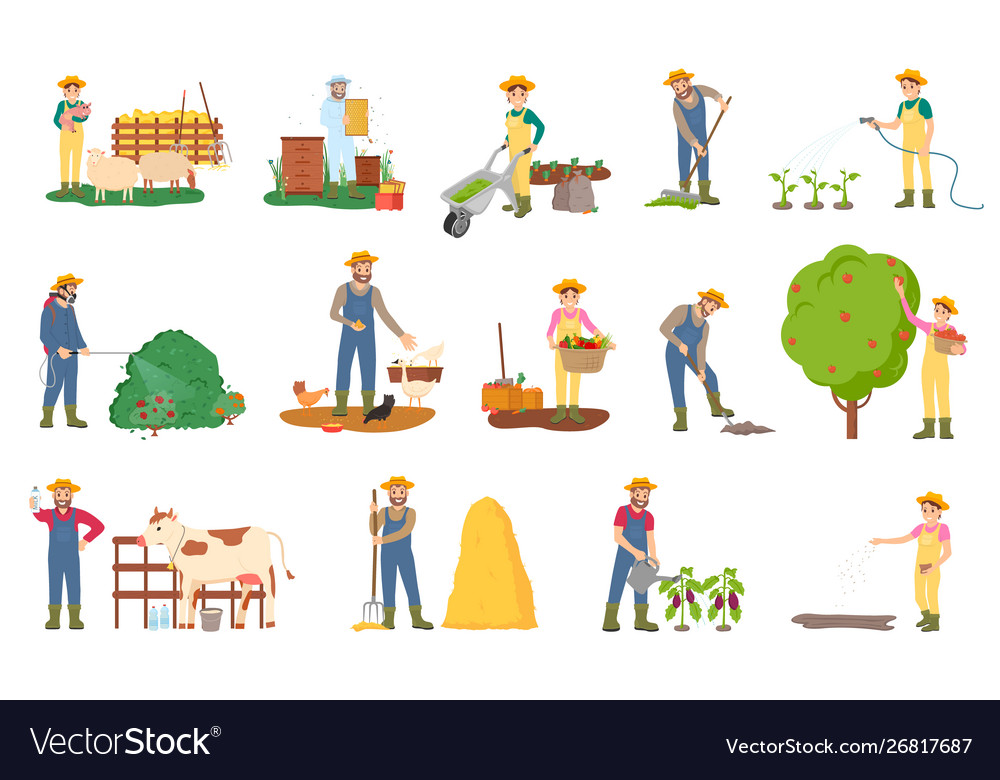 People farming cow and sheep tending animals Vector Image