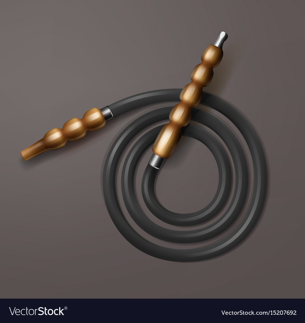 Coiled hookah hose Royalty Free Vector Image VectorStock