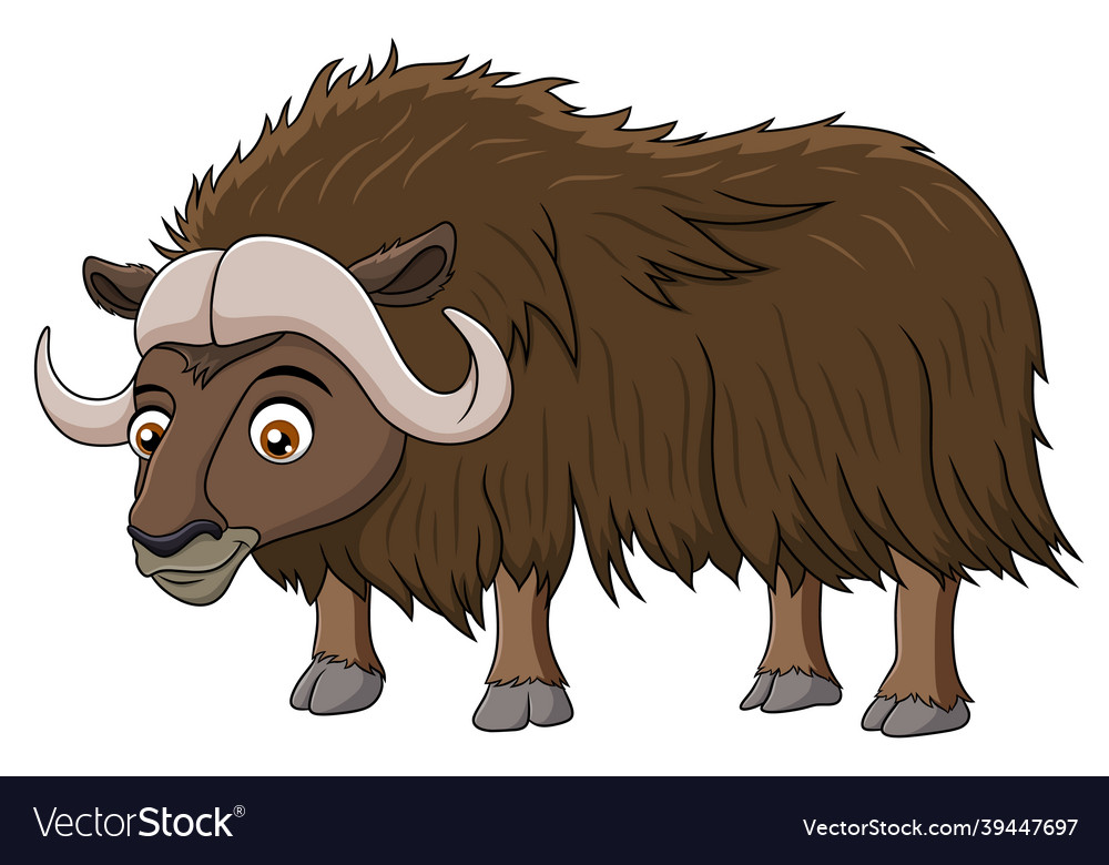 Cute muskox cartoon