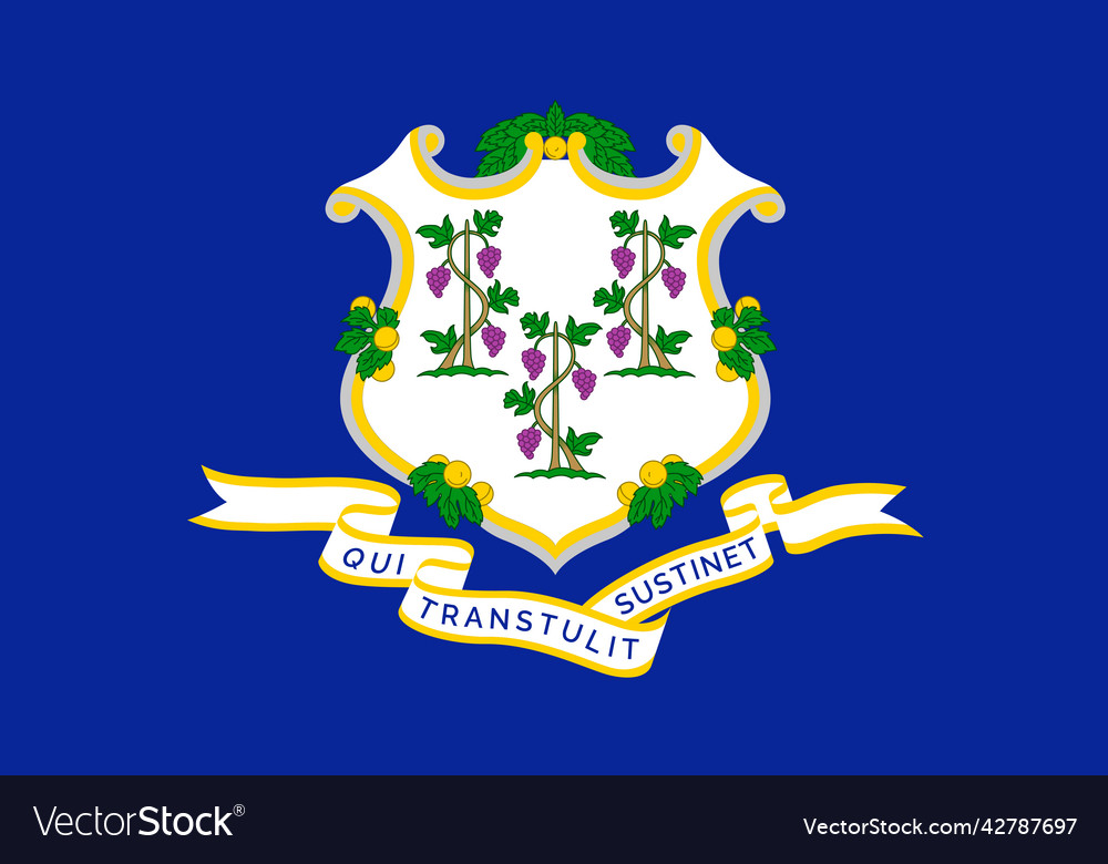 Flag of connecticut symbol us federal state Vector Image