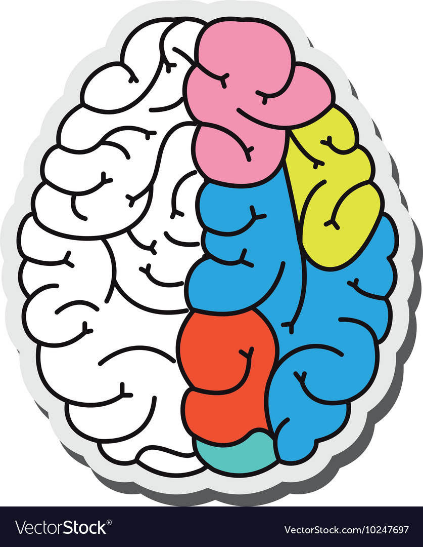 Human brain cartoon icon Royalty Free Vector Image