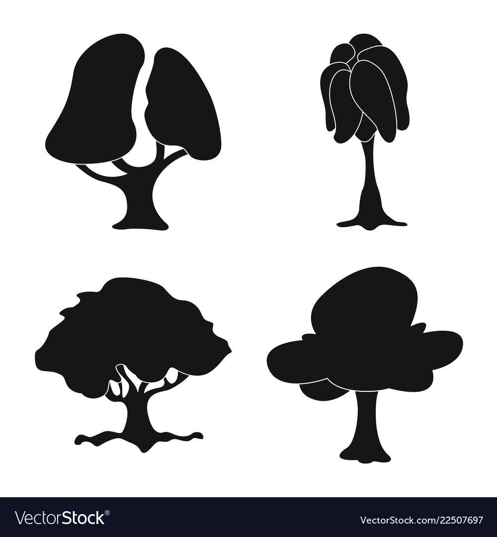 Isolated object of tree and nature symbol