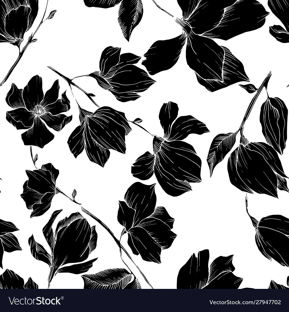 Magnolia floral botanical flowers black