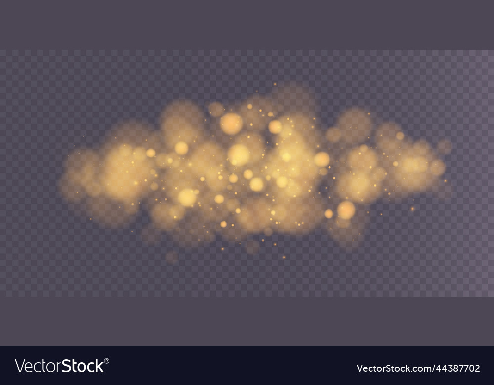 Shining bokeh isolated on transparent background vector image Shining bokeh isolated on transparent background