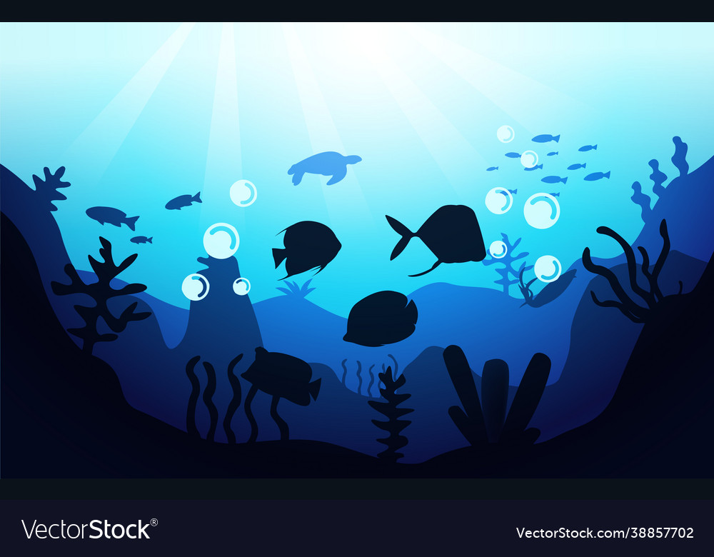 Wildlife fish coral sea ocean underwater aquatic