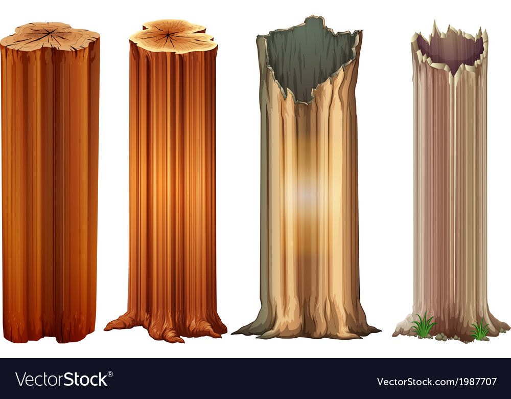 growing tree stumps royalty free vector image vectorstock