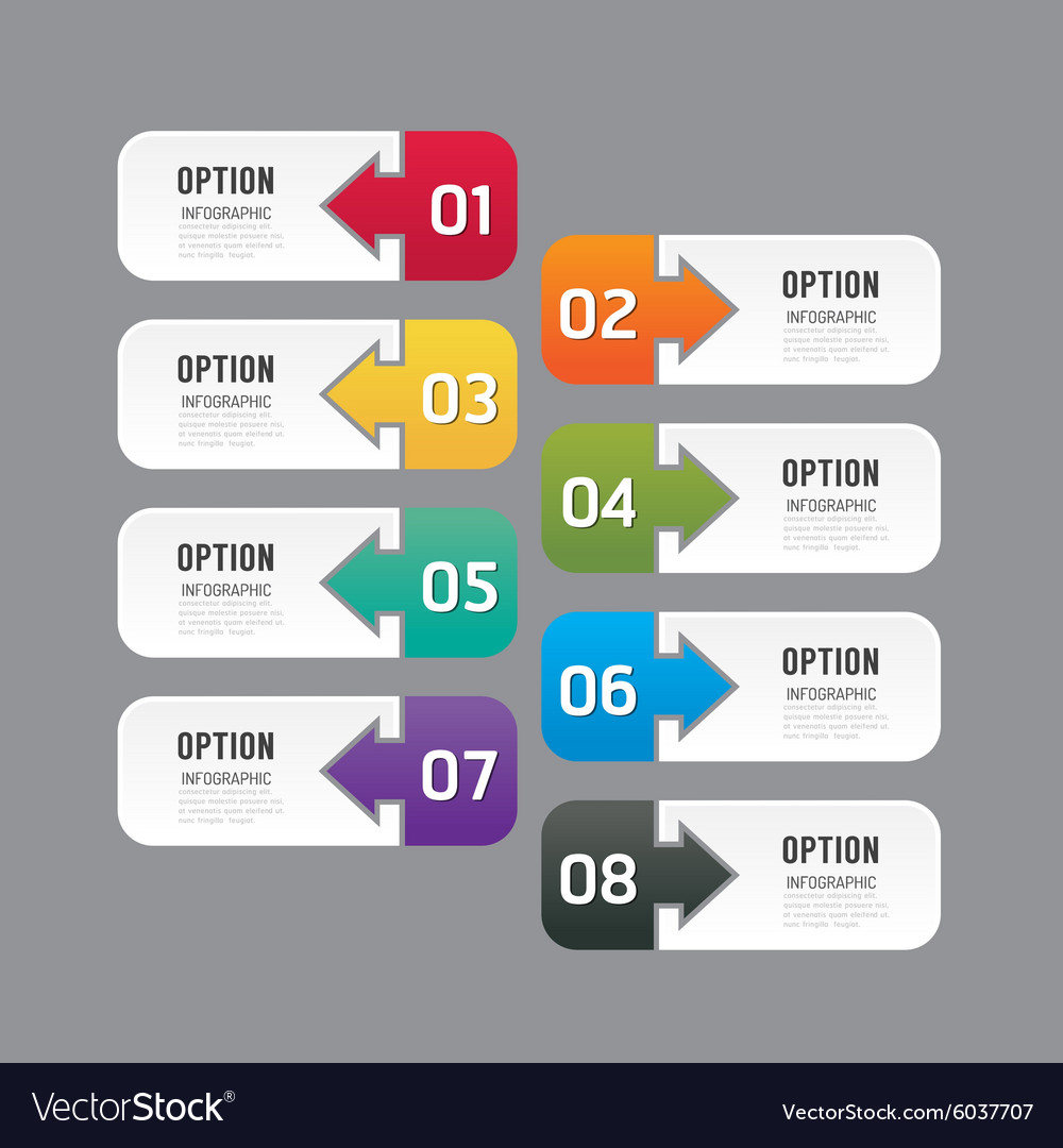 Modern Infographics Design Options Banner Vector Image