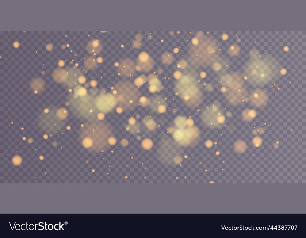 Shining bokeh isolated on transparent background vector image Shining bokeh isolated on transparent background
