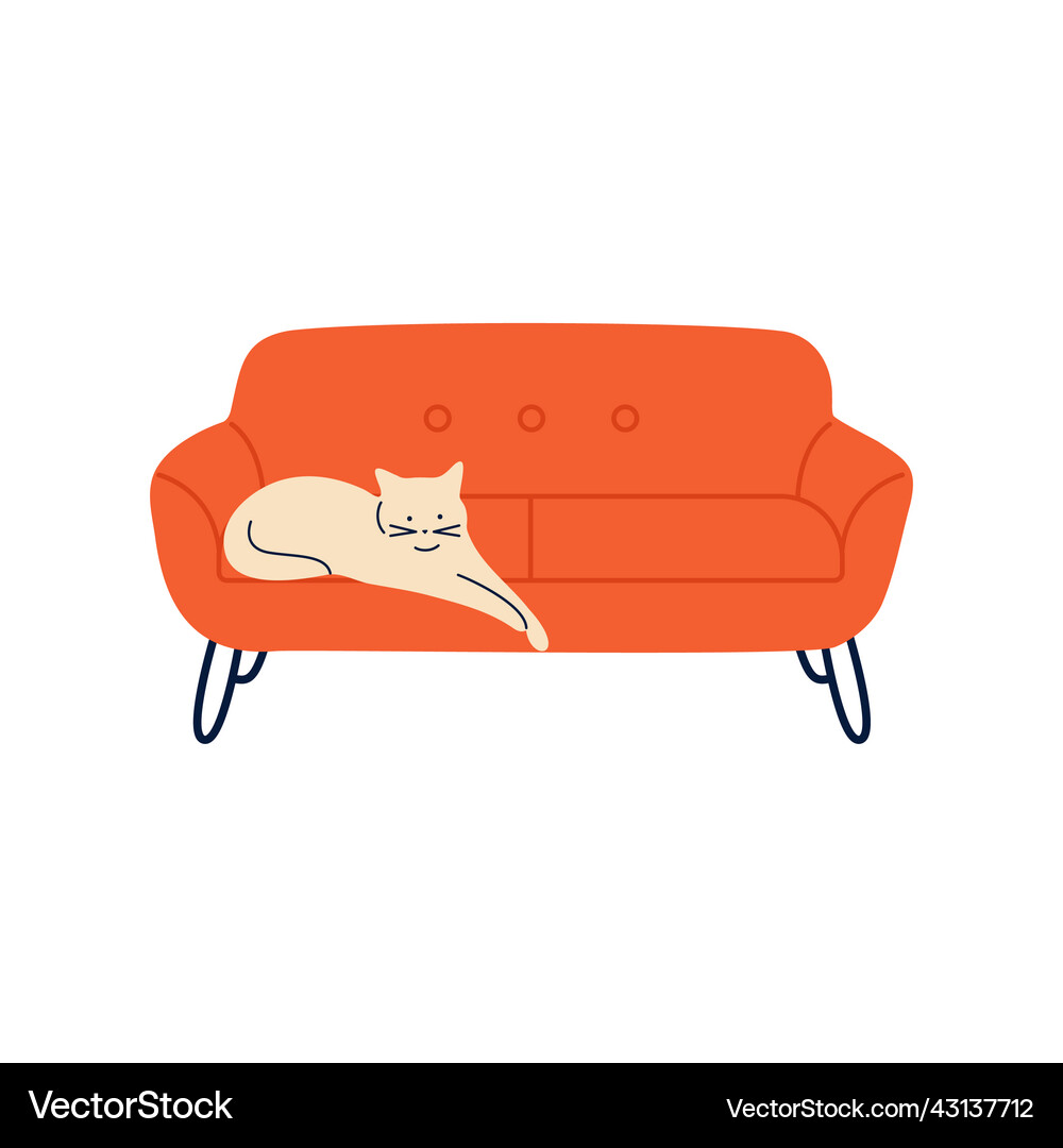 Cat on sofa sleeps cozy comfy couch happy Vector Image