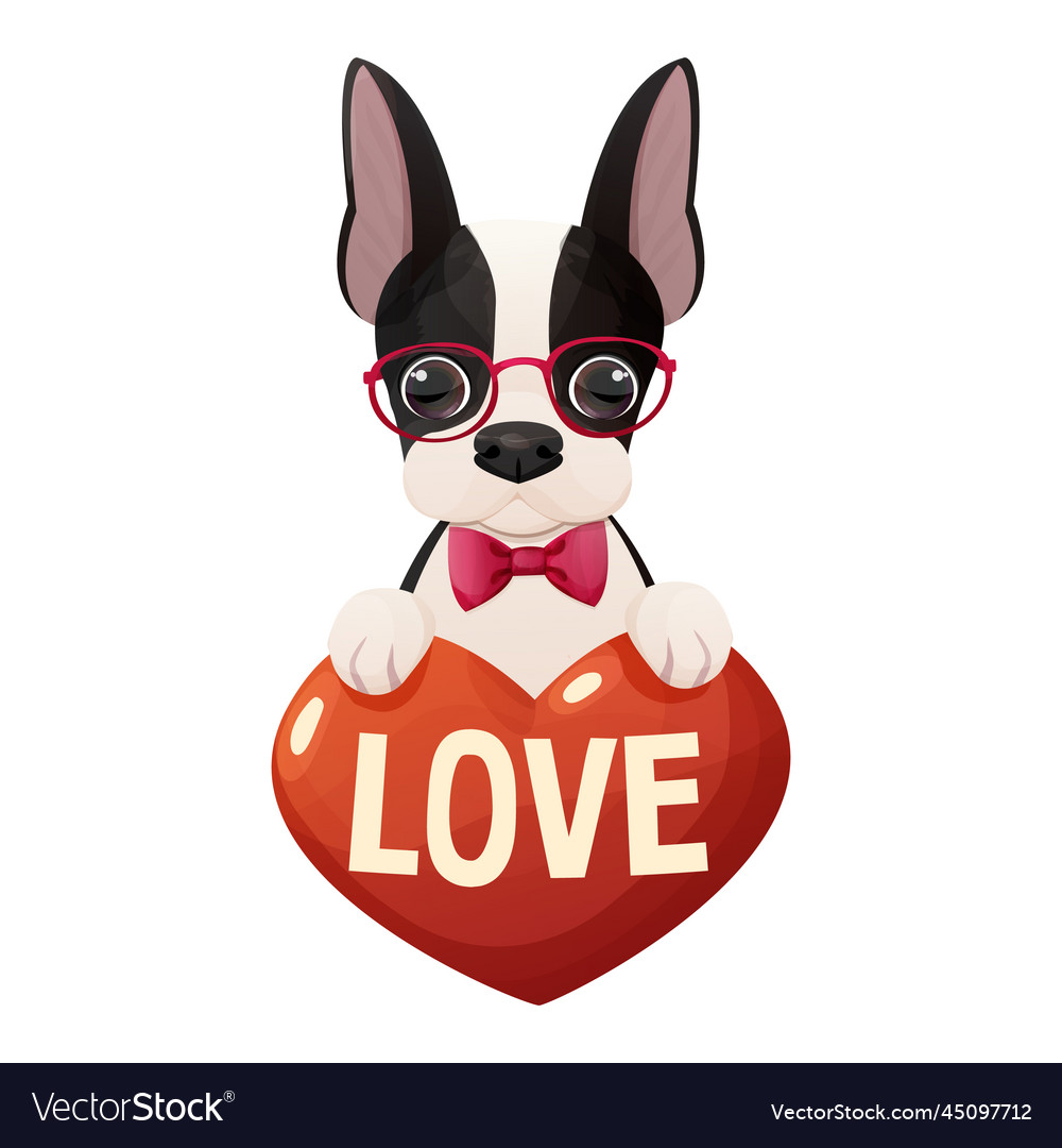 Boston best sale terrier love