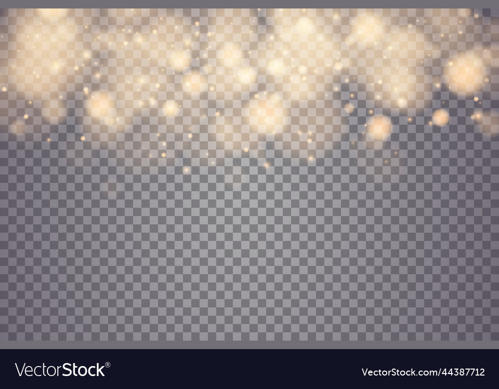 Shining bokeh isolated on transparent background vector image Shining bokeh isolated on transparent background