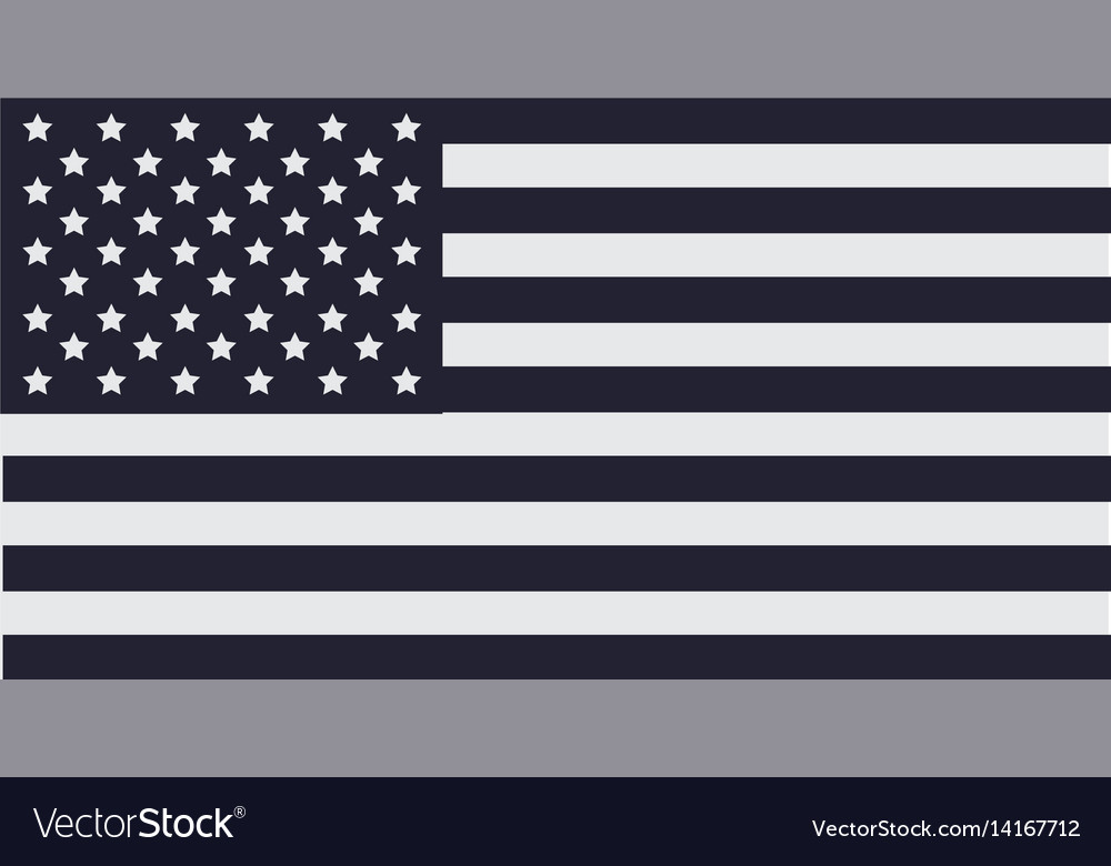 Usa flag emblem