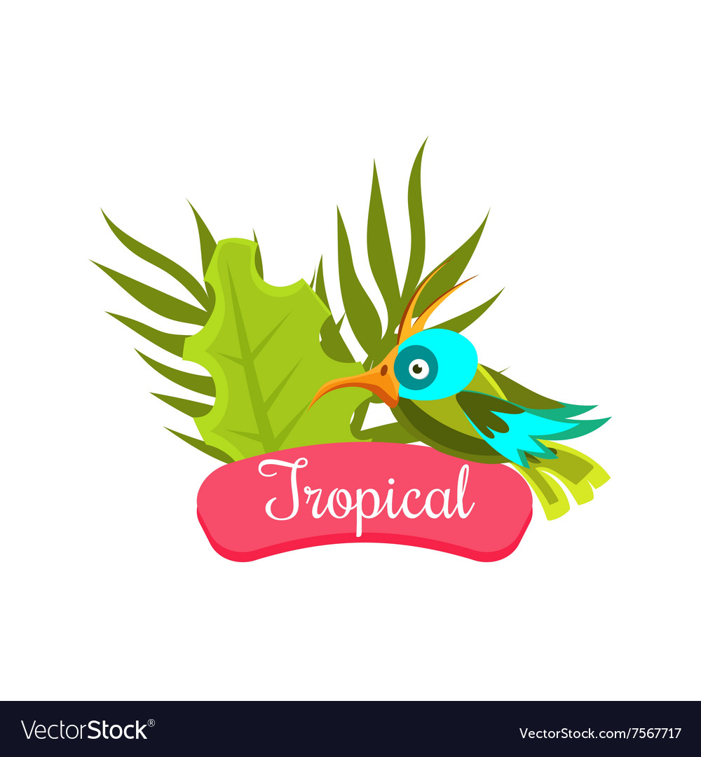 Tropical summer vacation Royalty Free Vector Image