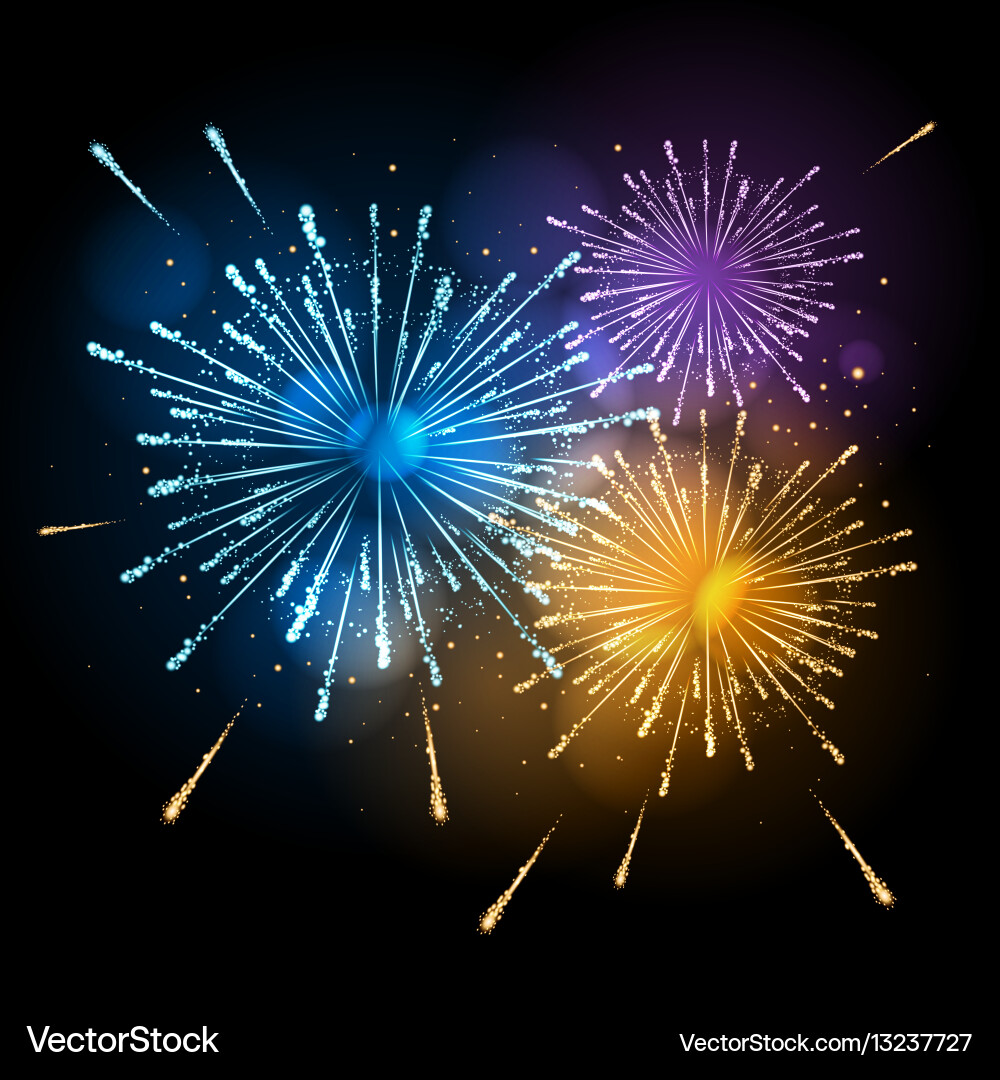 Holiday firework Royalty Free Vector Image - VectorStock