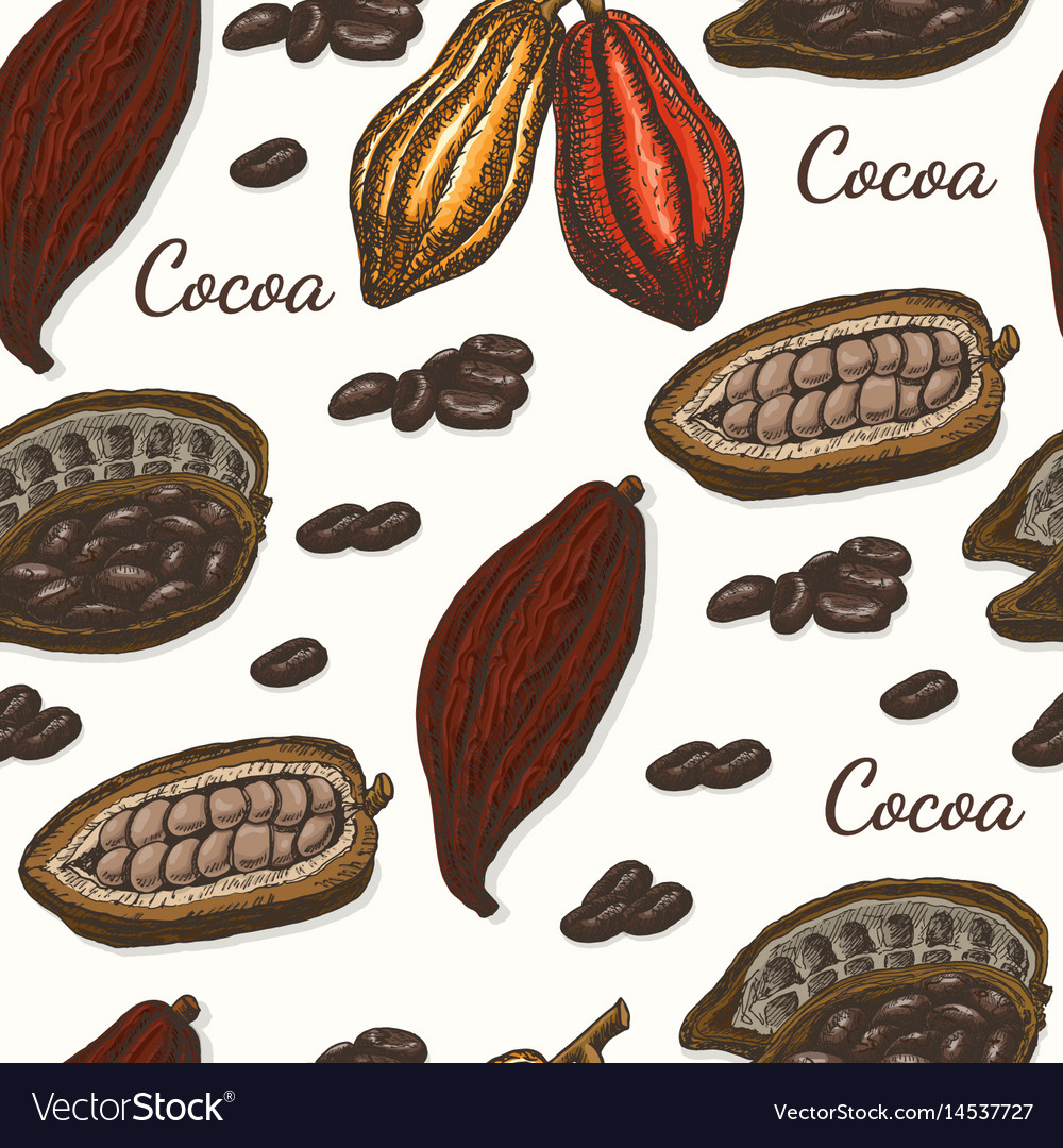 Pattern with cocoa