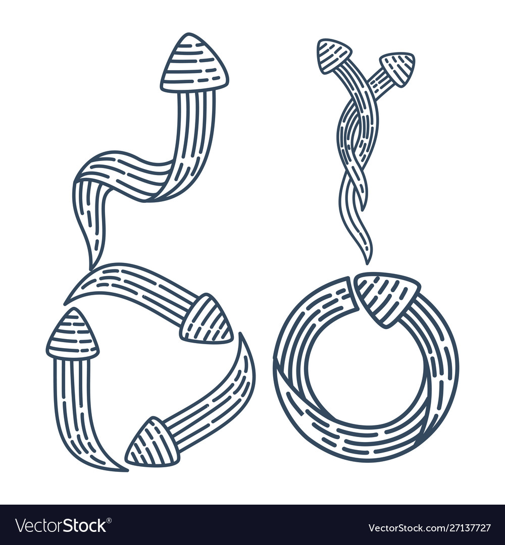 Triangle rotation arrow direction collection