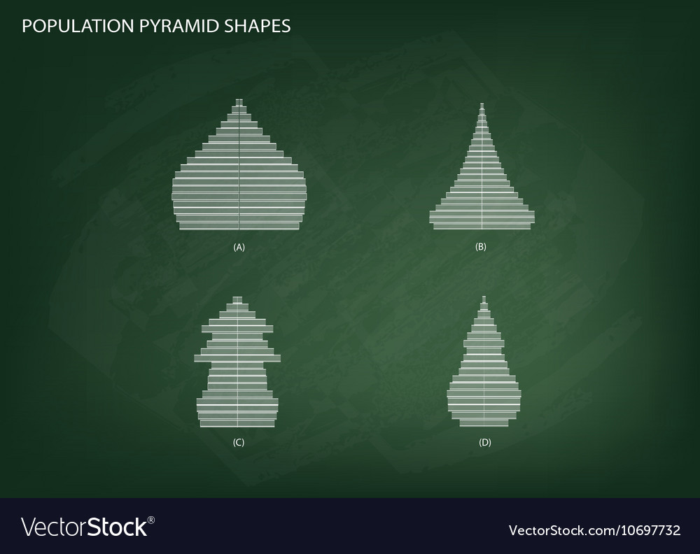 4 types of population pyramids graphs