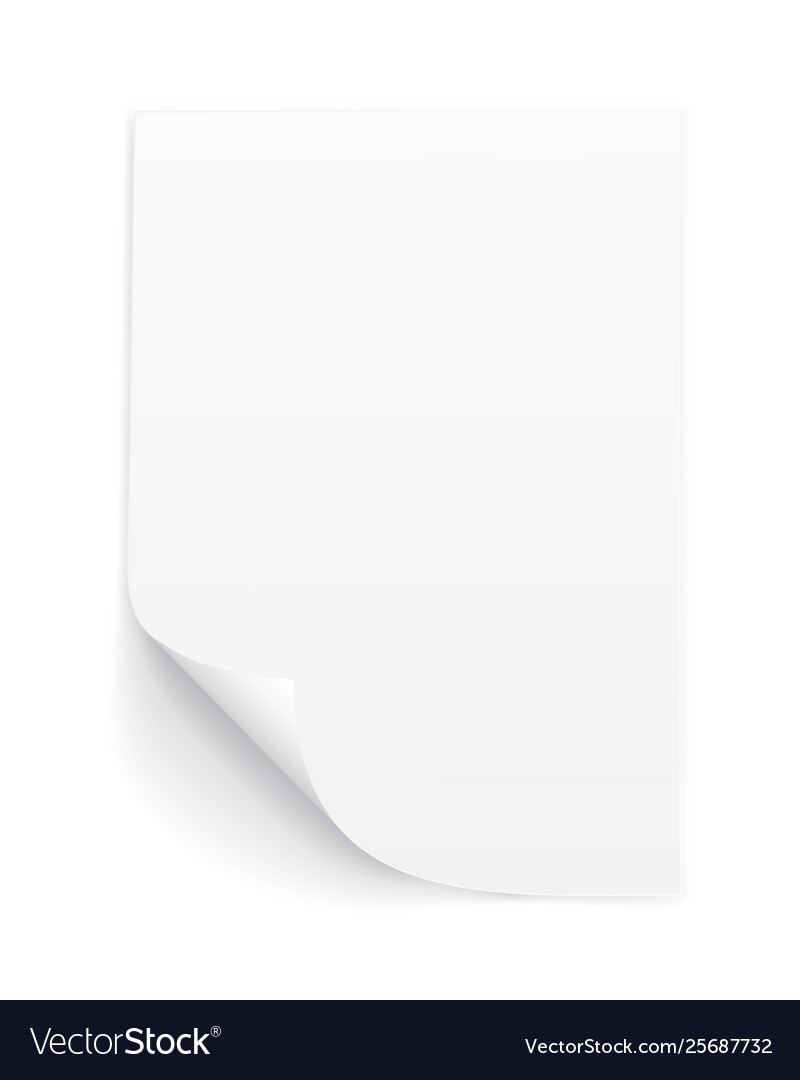 Blank a4 sheet white paper with curled corner Vector Image