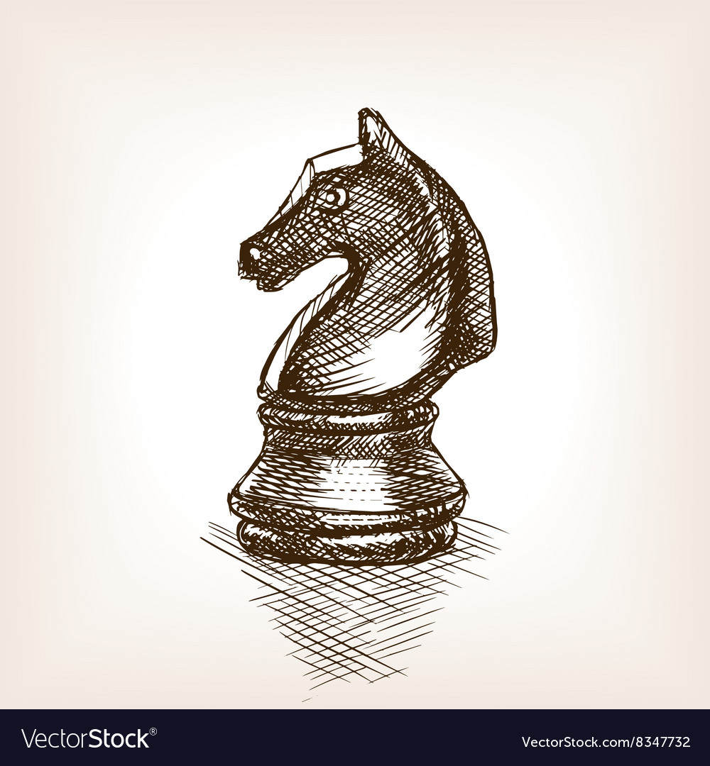 Chess knight sketch Royalty Free Vector Image VectorStock