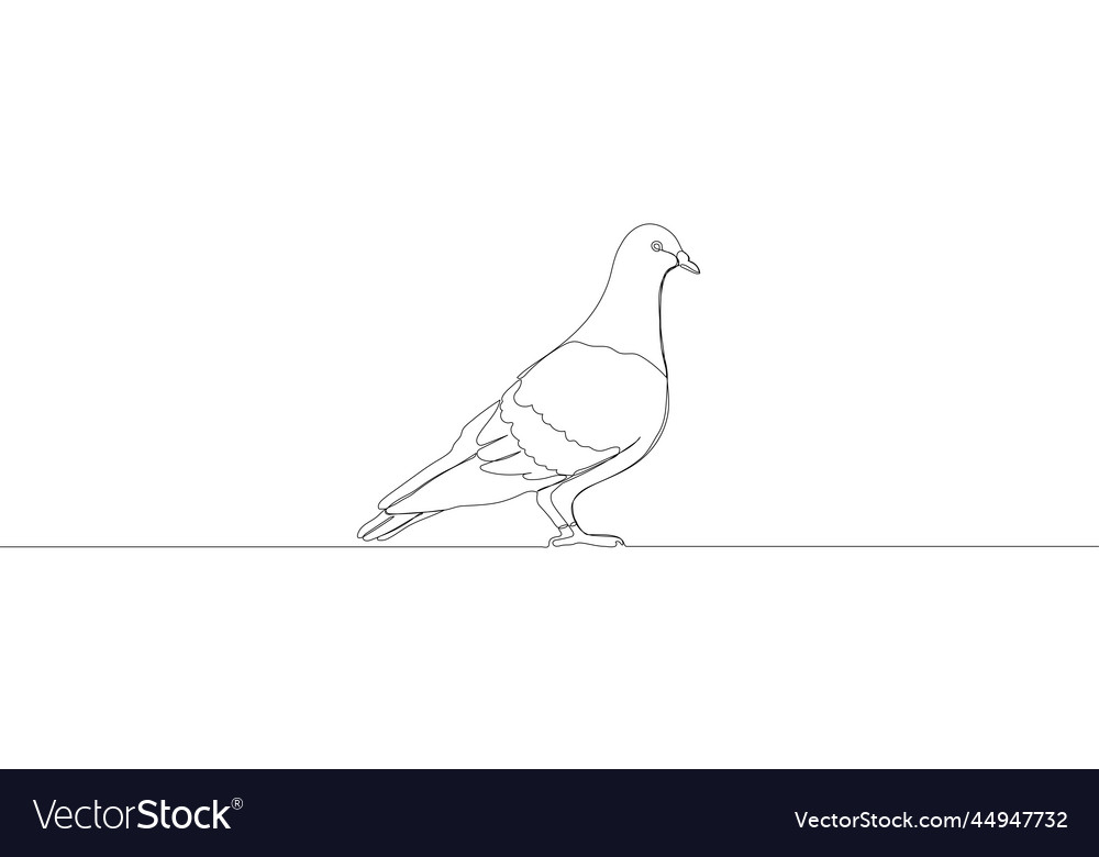 Eine durchgehende Linienzeichnung eines Tauben-Vogelsymbols