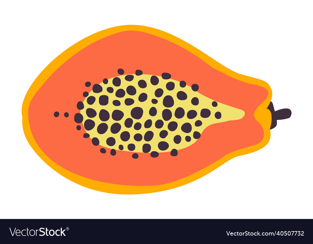 Papaya half icon ripe exotic asian fruit cut