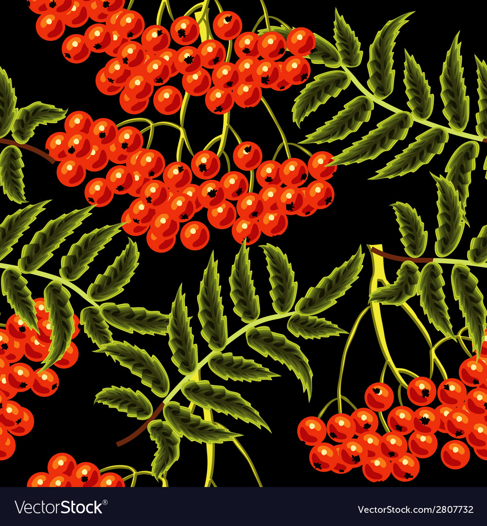 Red rowan berries seamless pattern template