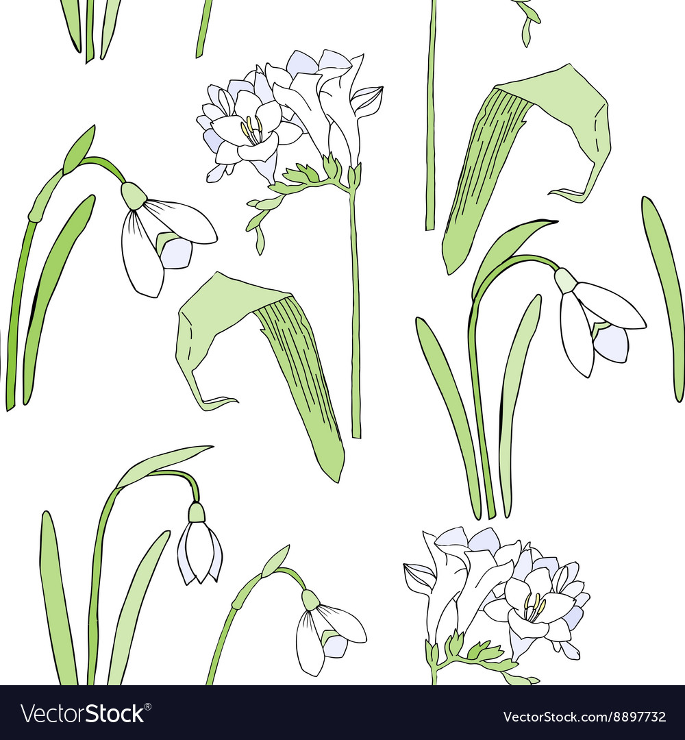 Seamless pattern with snowdrops