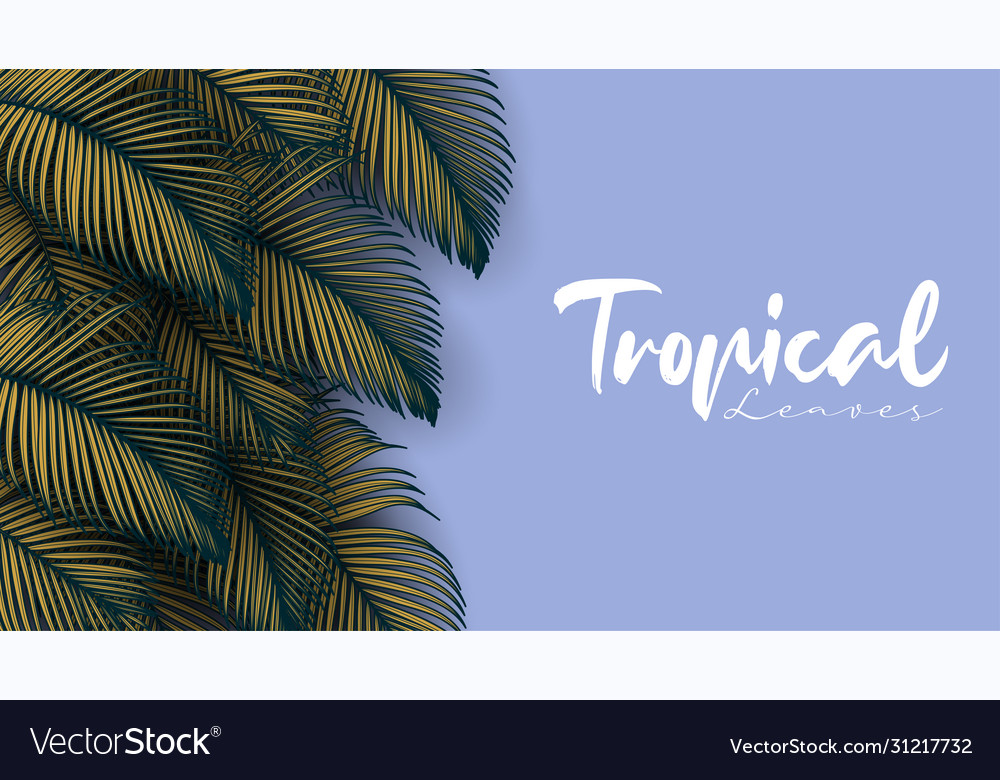 Tropical summer leaves background Vector Image Tropical summer leaves background