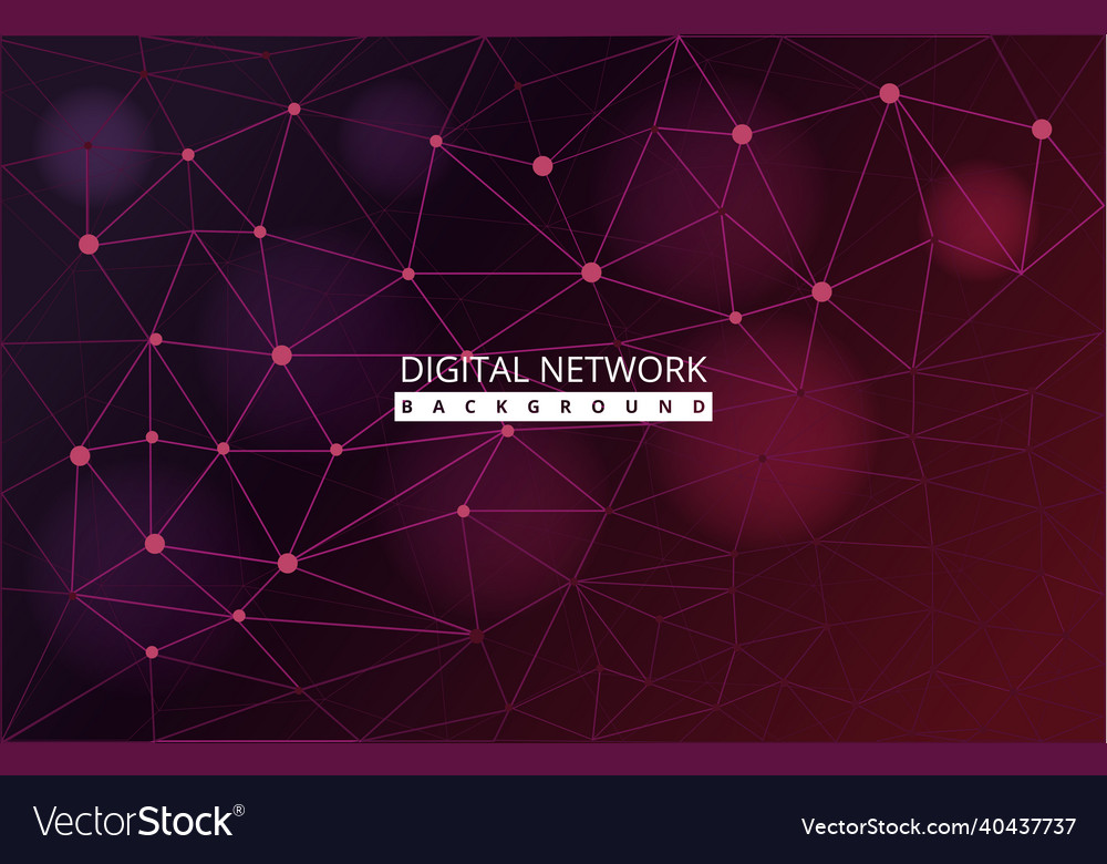 Advanced digital network connection internet vector image Advanced digital network connection internet