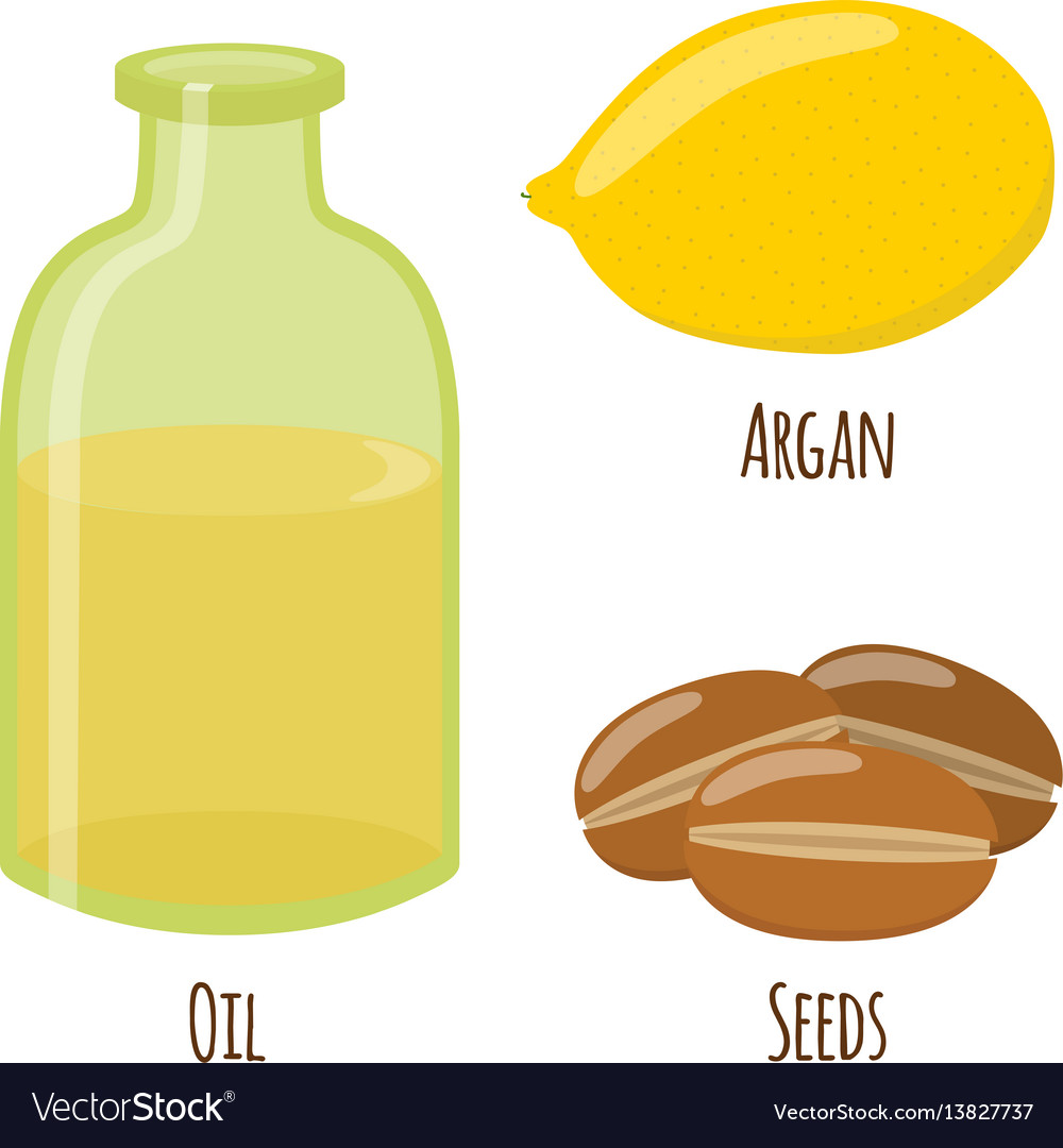 Argan fruit oil nuts seeds for herbal cosmetics