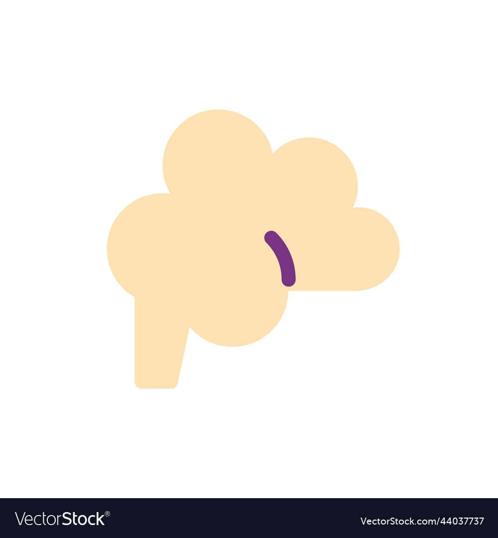 Brain flat color ui icon vector image Brain flat color ui icon