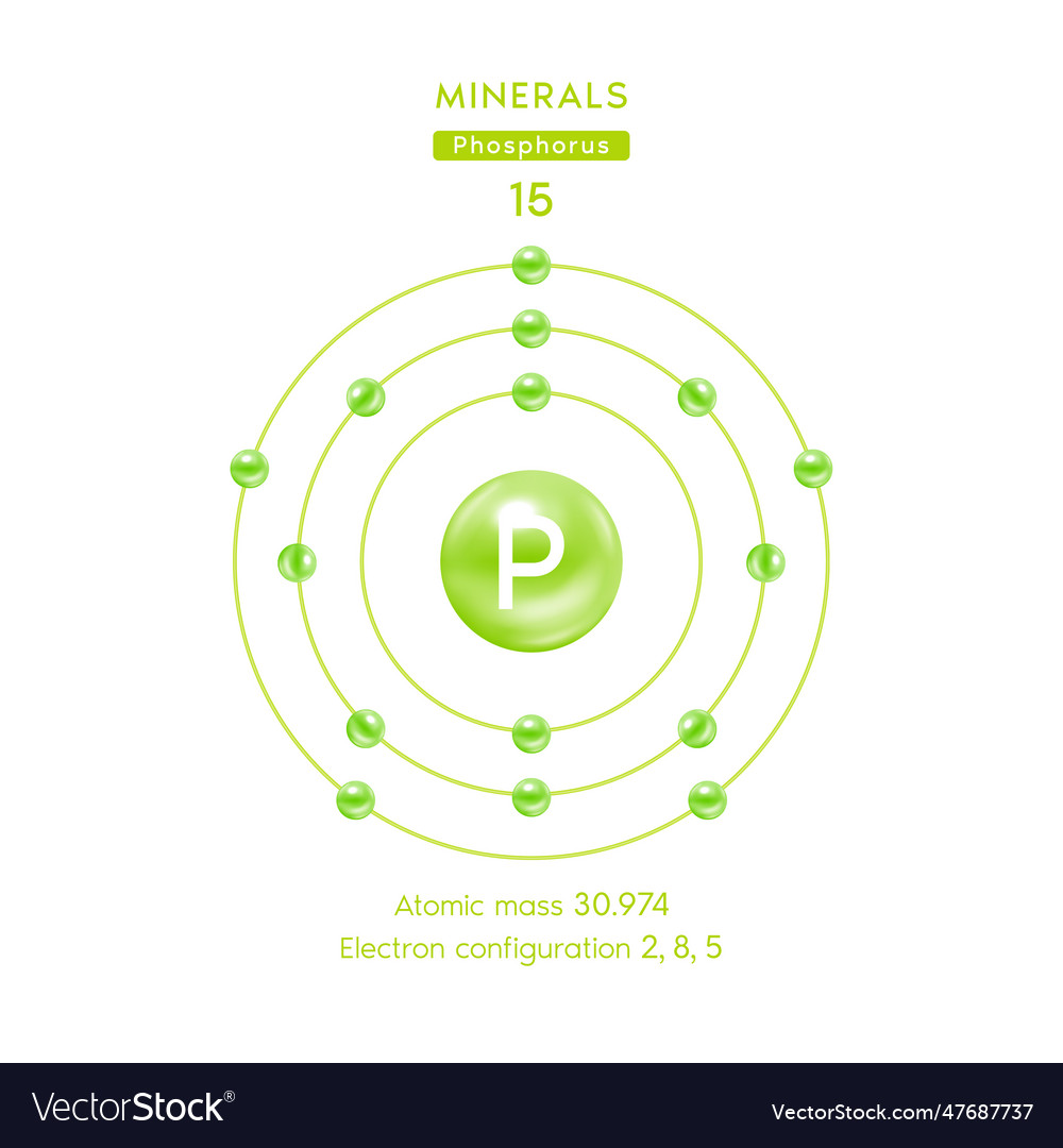 Phosphorus chemical element and atomic number Vector Image