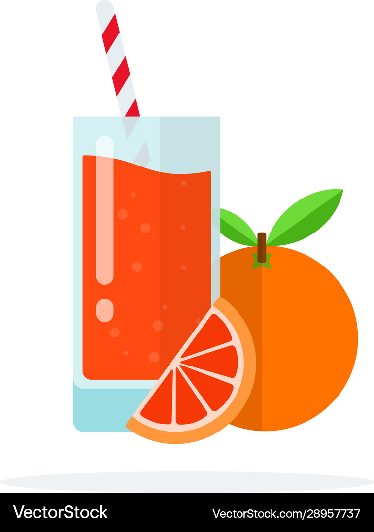 Whole grapefruit a slice Royalty Free Vector Image