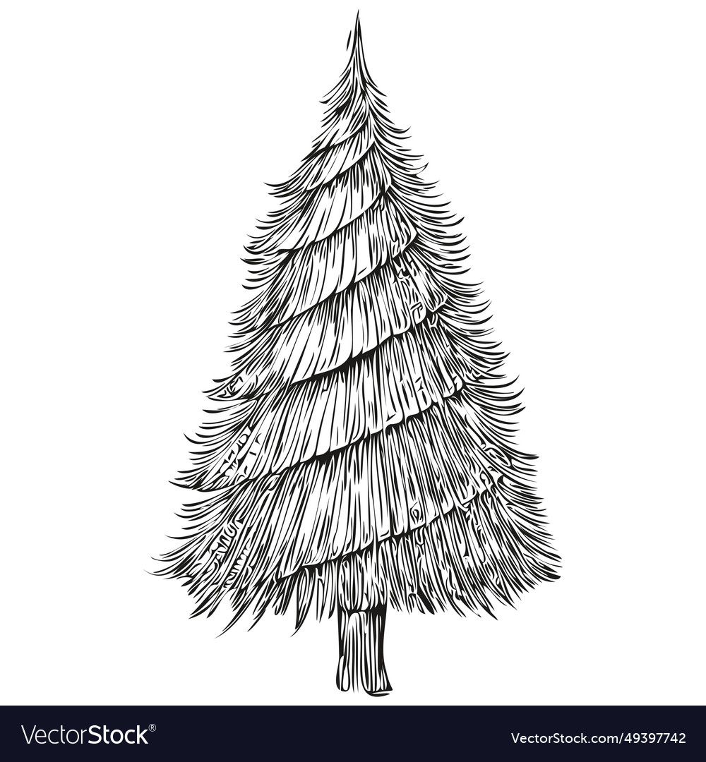 Christmas tree hand drawn cartoon vintage Vector Image