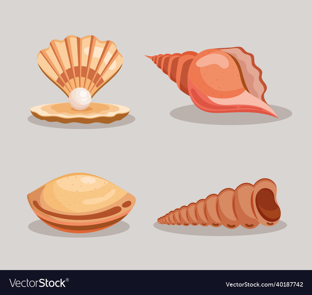 Sea shells four icons